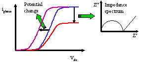 Steffi Krause: Changes in the maximum photocurrent and the position of the photocurrent curve on the dc voltage axis can be used to measure local impedance or electrical potentials 